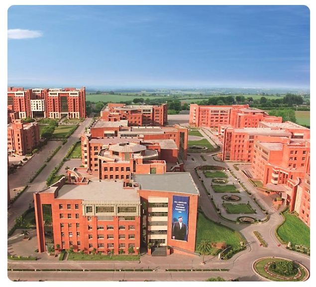 amity-university.png